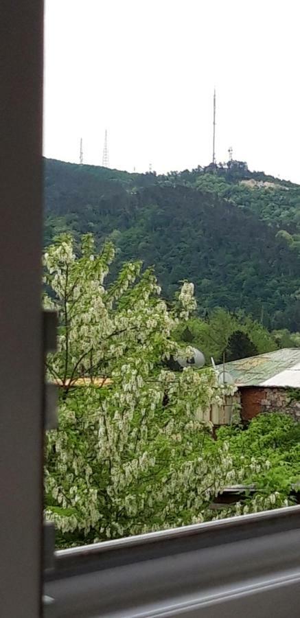 Mero House Koetaisi Buitenkant foto
